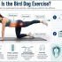 guide-article.jpg
